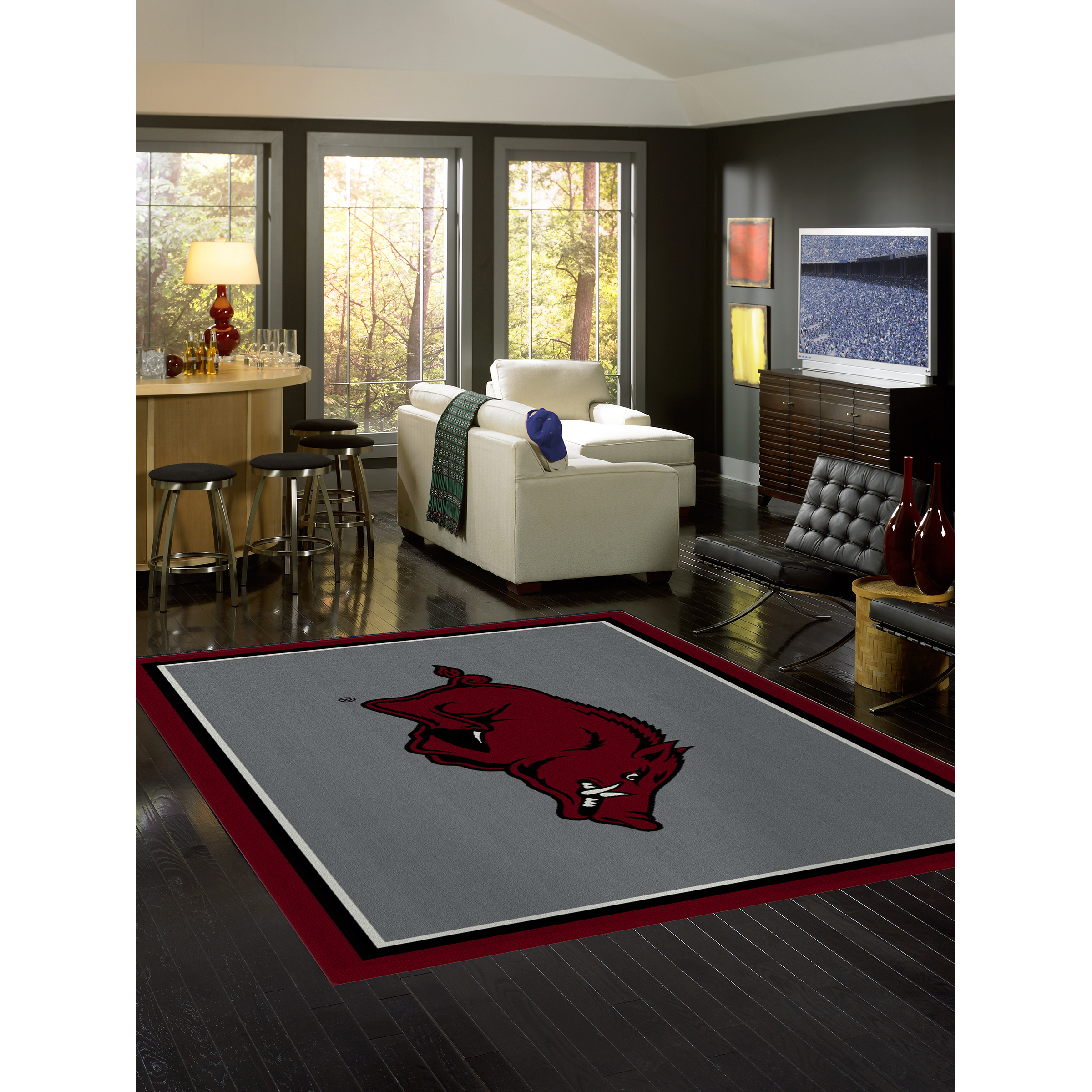 Arkansas Razorbacks 4 X 6 SPIRIT Rug