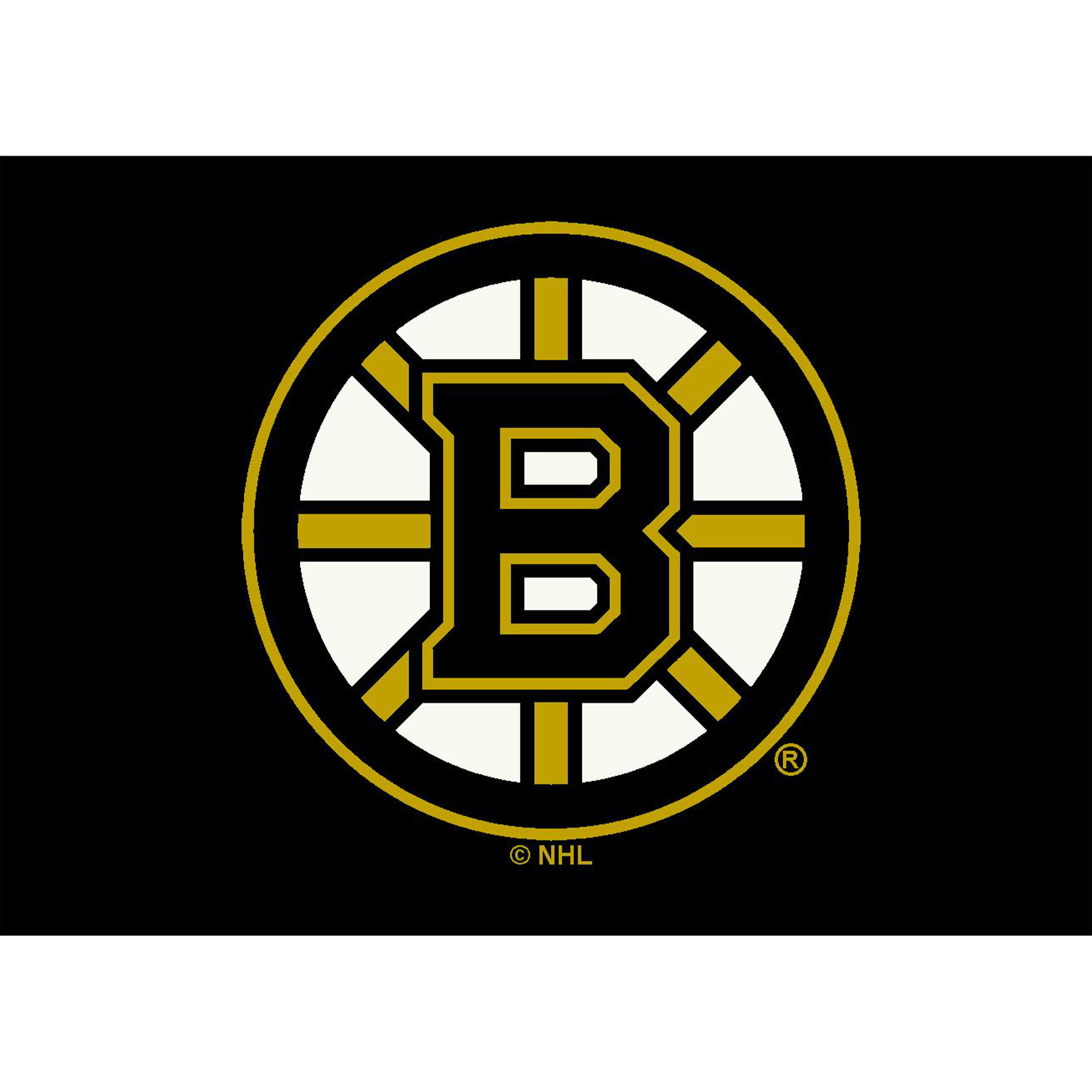 Boston Bruins 8 X 11 SPIRIT Rug