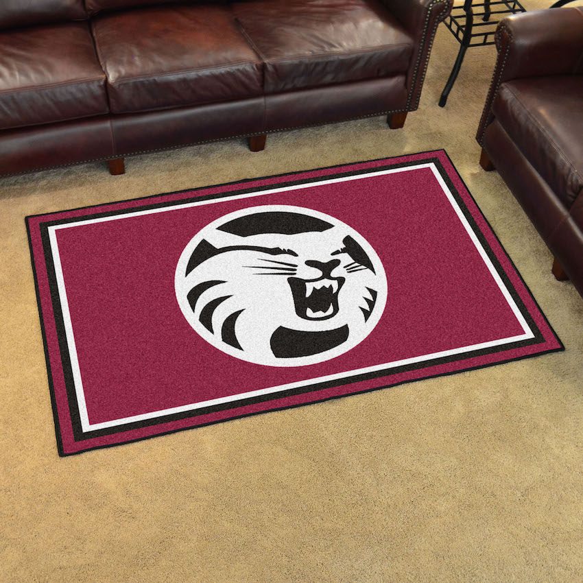 Cal State Chico Wildcats 4x6 Area Rug
