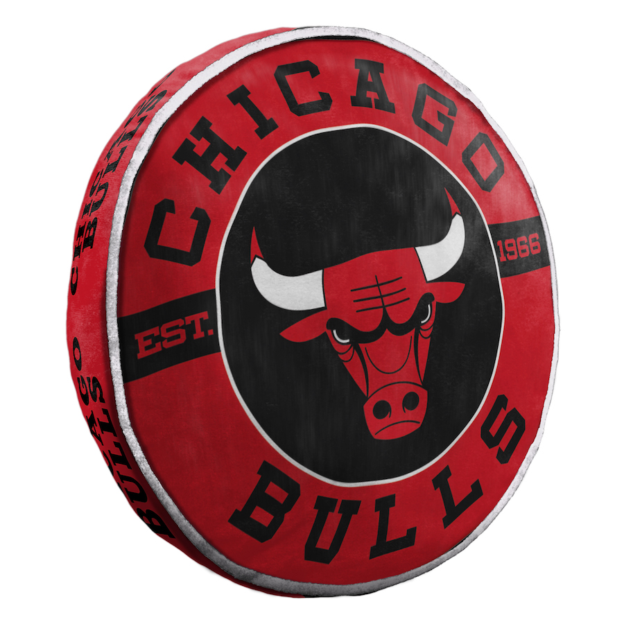 Chicago Bulls Travel Cloud Pillow - 15 inch