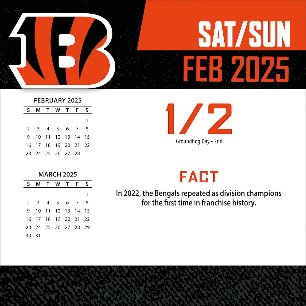 Cincinnati Bengals 2025 NFL Page-A-Day Box Calendar