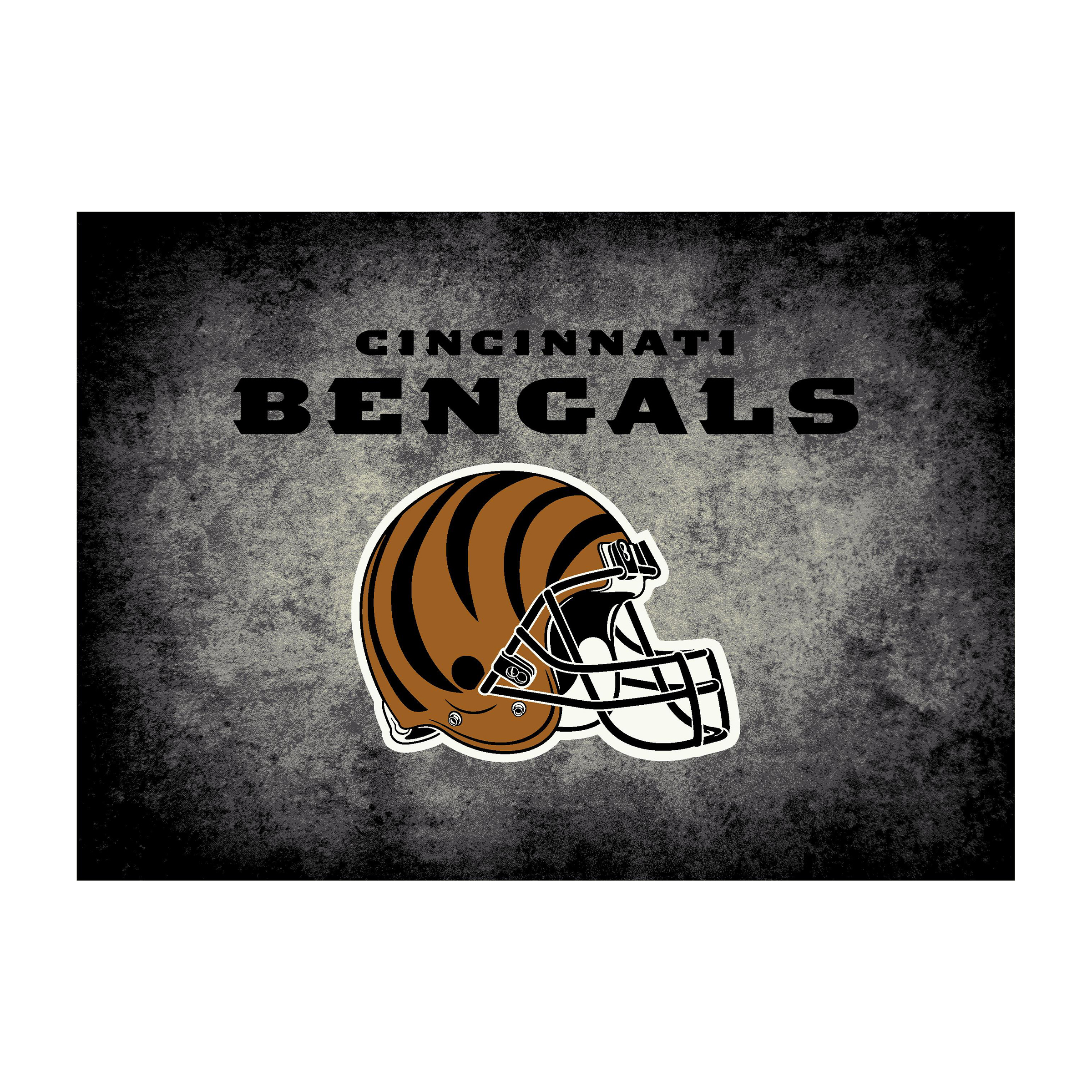 Cincinnati Bengals 4 X 6 DISTRESSED Rug