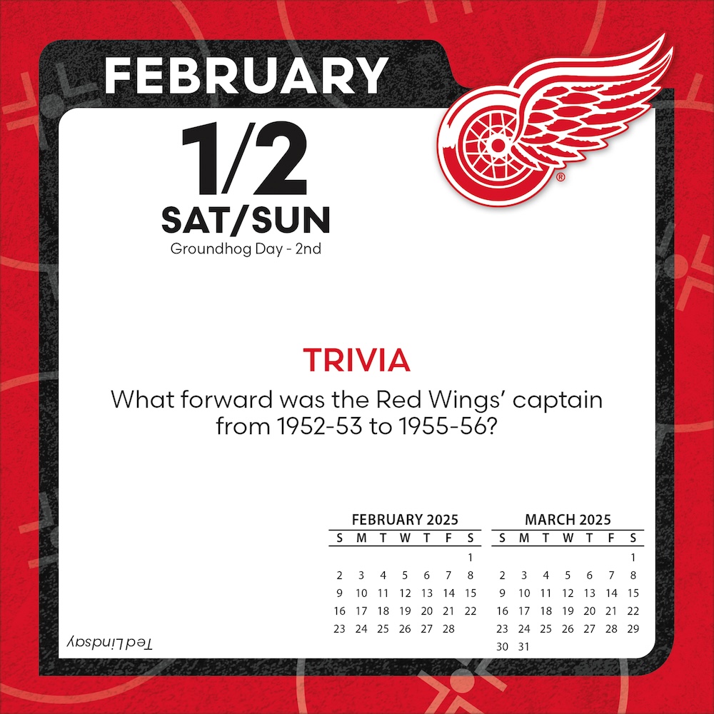 Detroit Red Wings 2025 NHL Page-A-Day Box Calendar