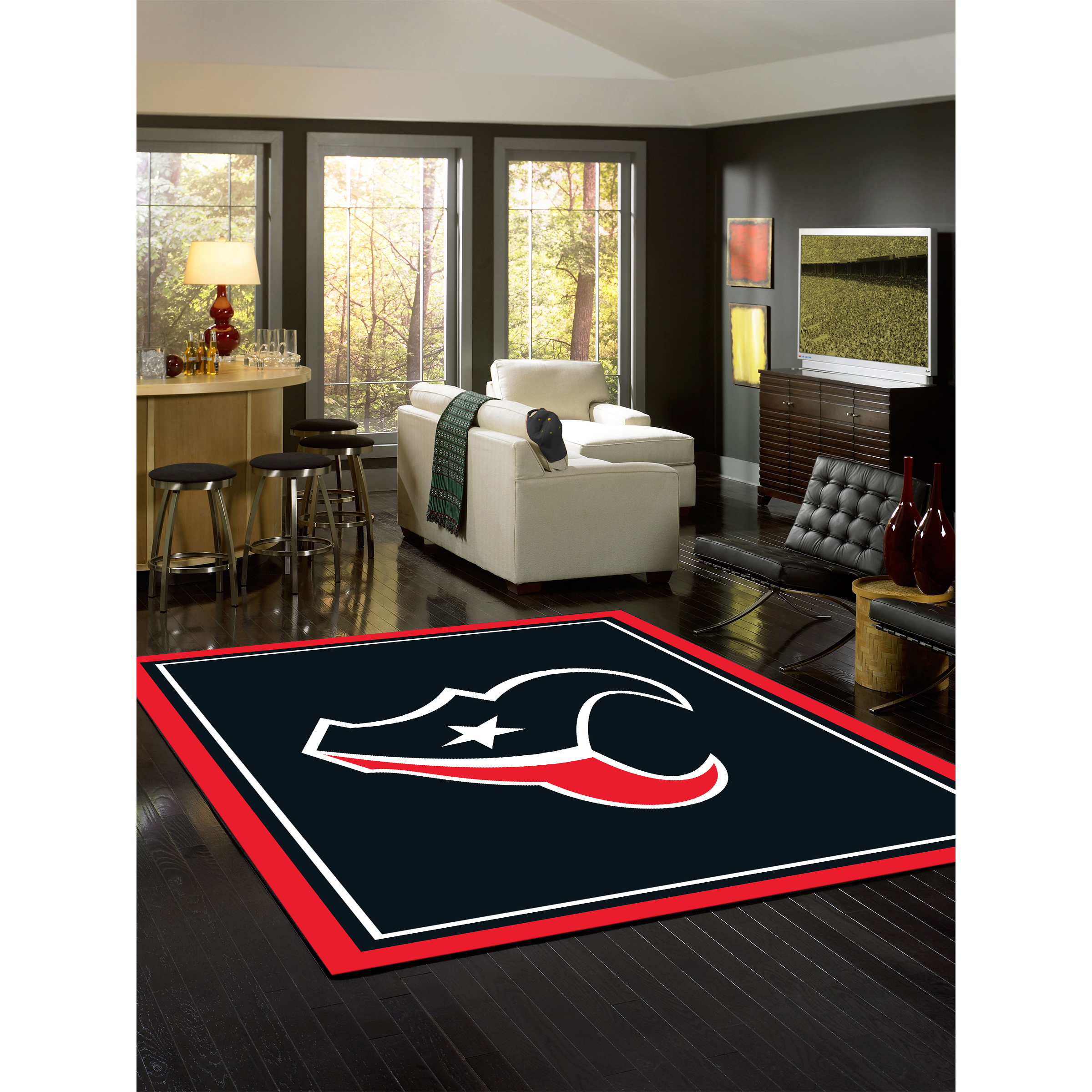 Houston Texans 4 X 6 SPIRIT Rug