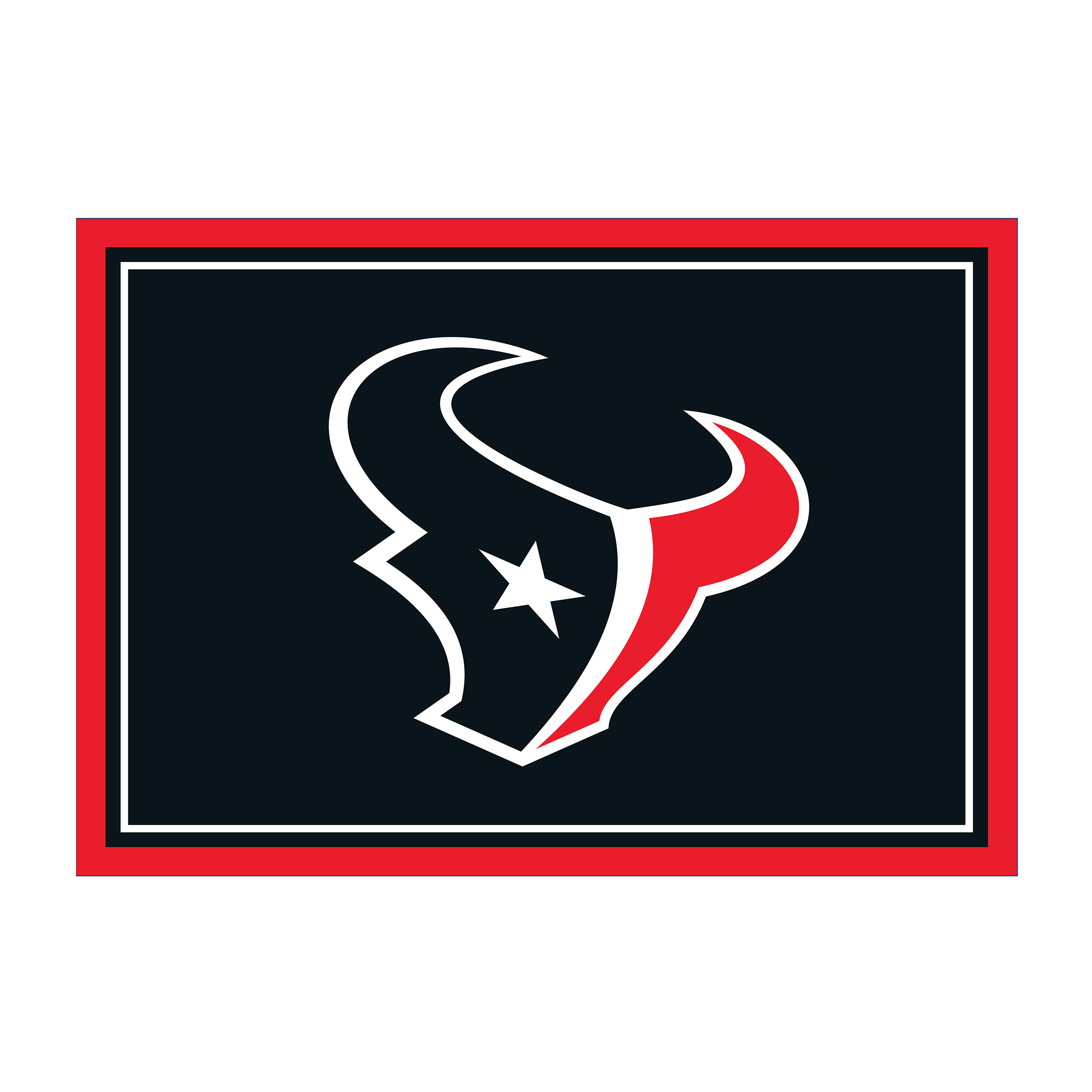 Houston Texans 8 X 11 SPIRIT Rug