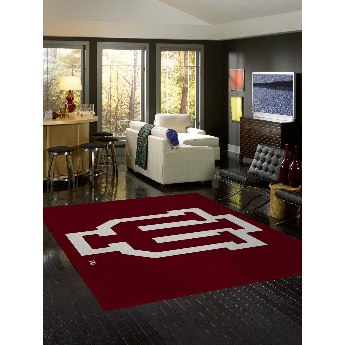 Indiana Hoosiers 4 X 6 SPIRIT Rug