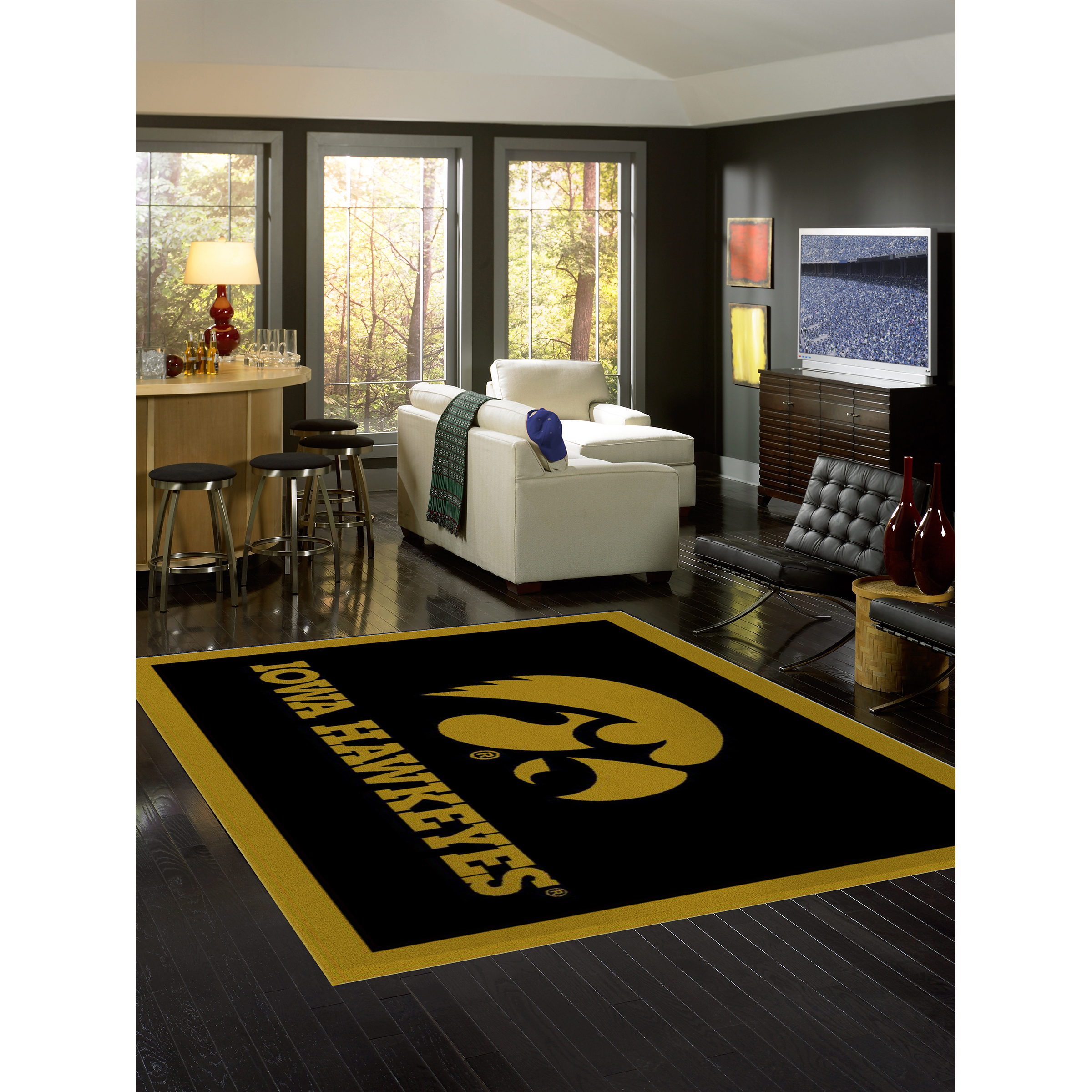 Iowa Hawkeyes 4 X 6 SPIRIT Rug