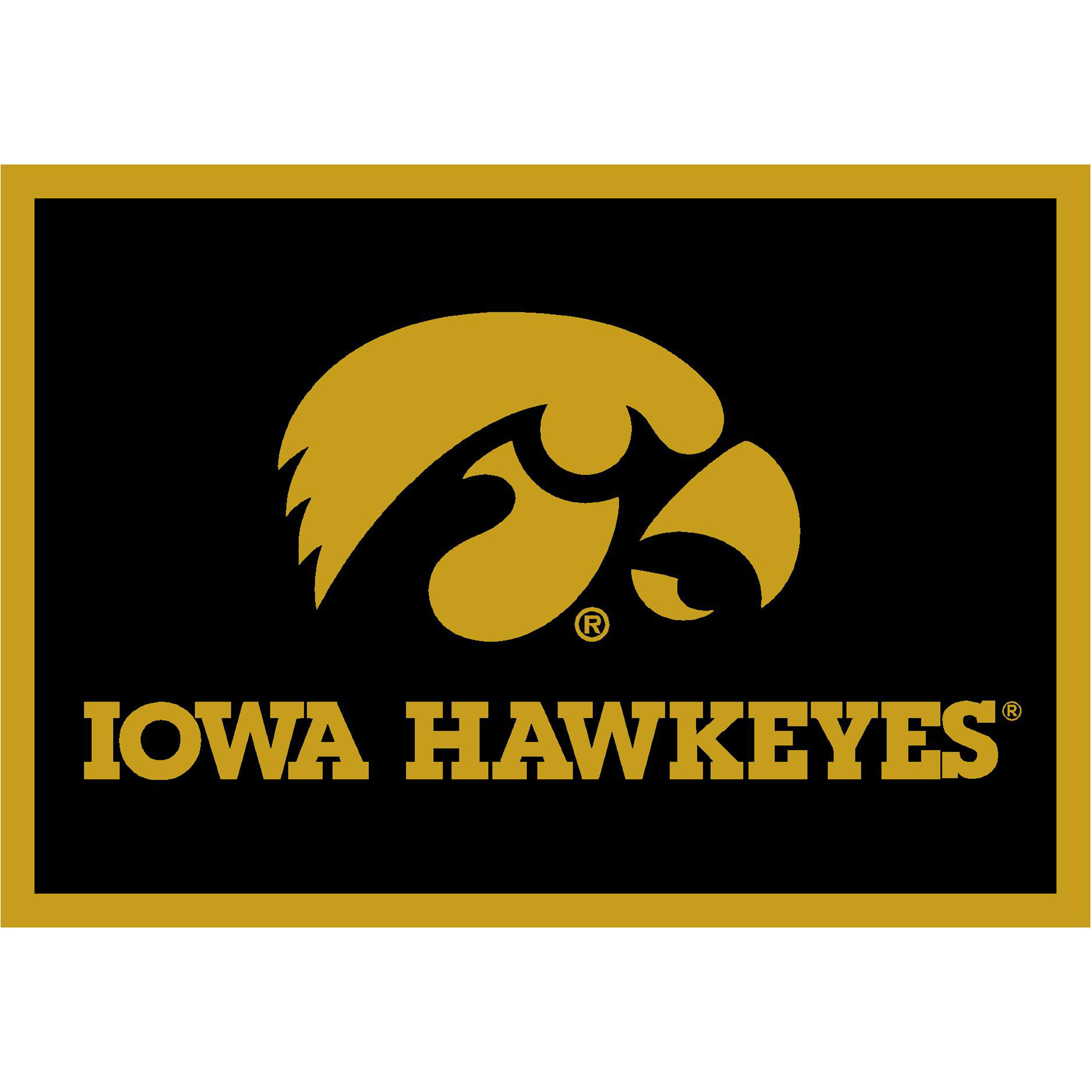 Iowa Hawkeyes 4 X 6 SPIRIT Rug