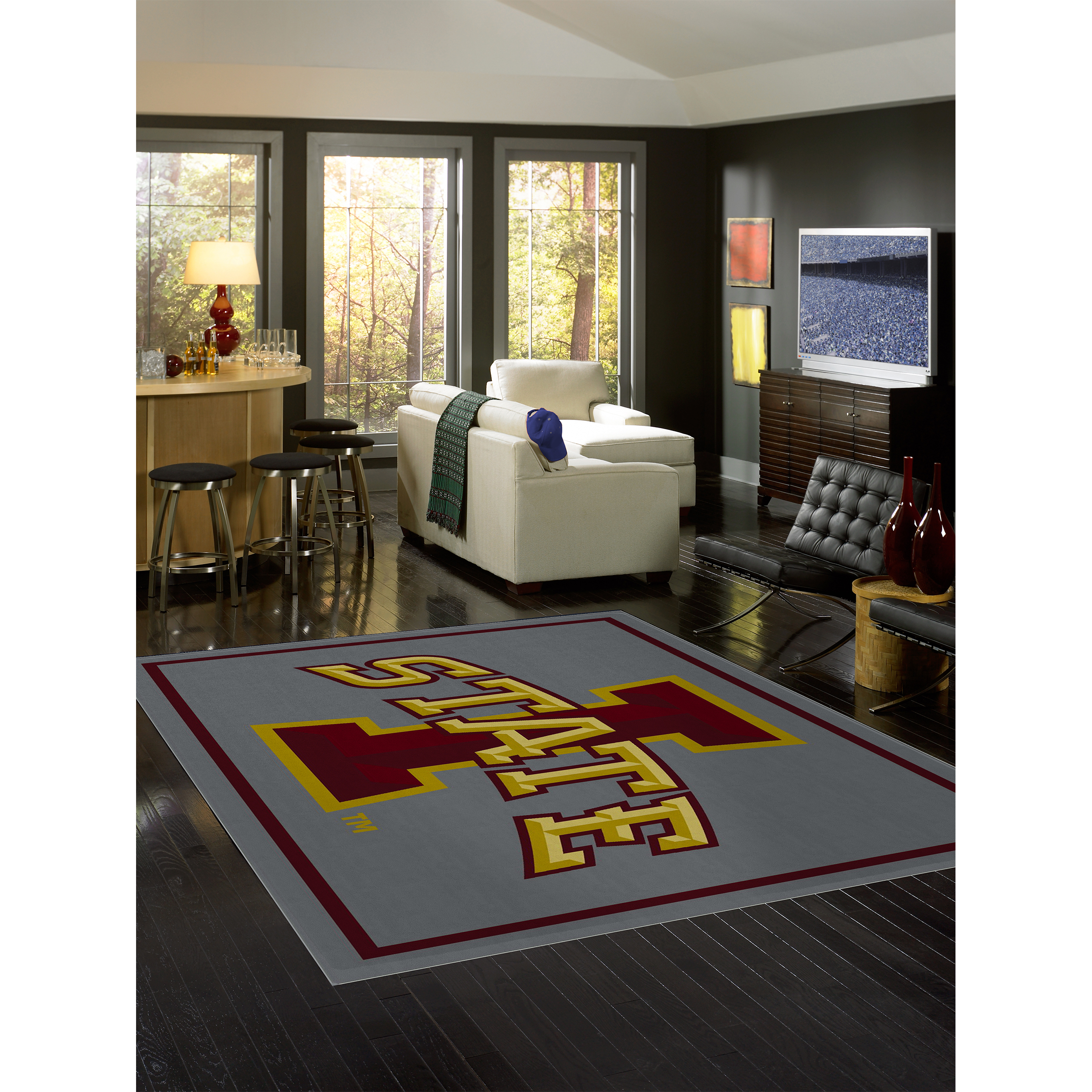 Iowa State Cyclones 4 X 6 SPIRIT Rug