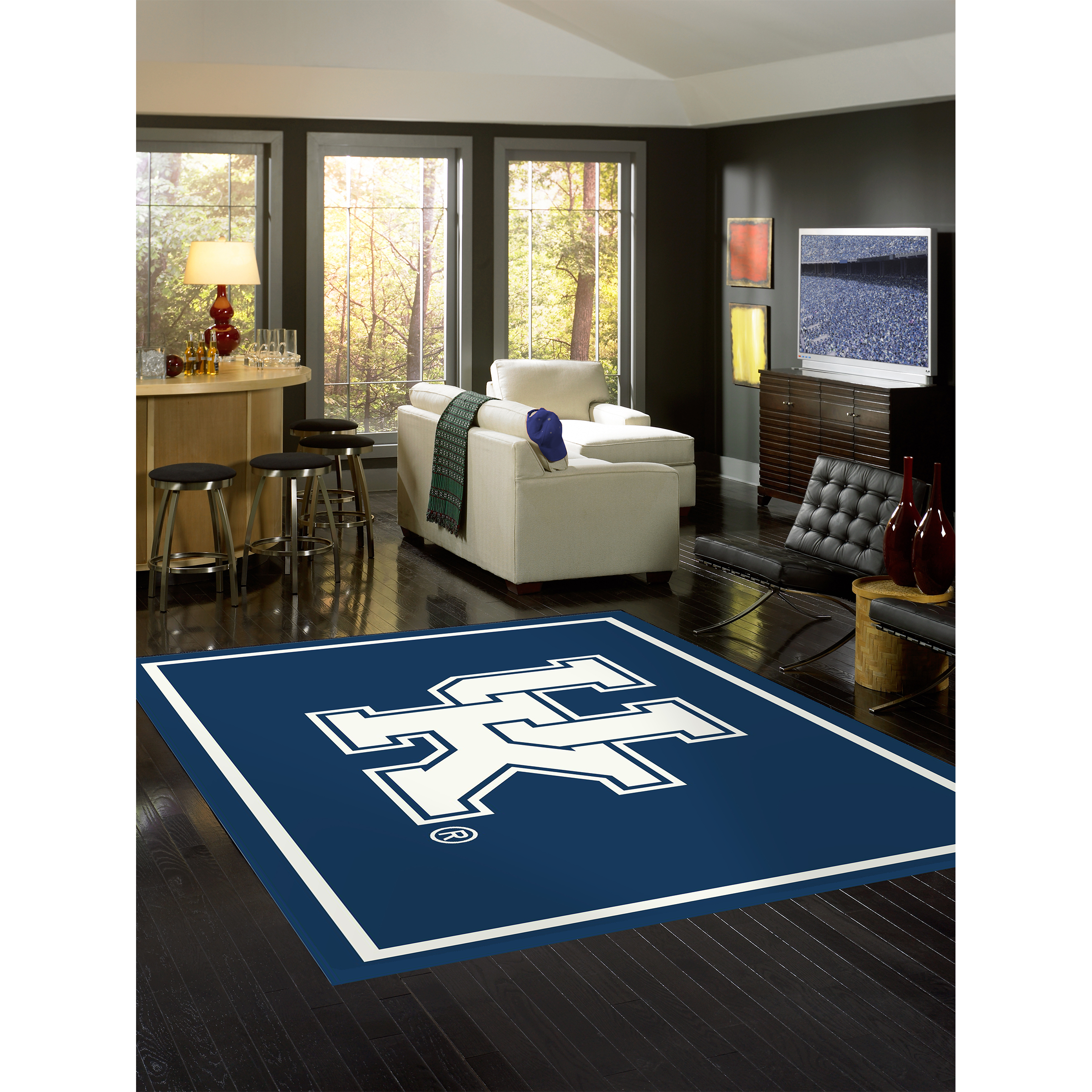 Kentucky Wildcats 4 X 6 SPIRIT Rug