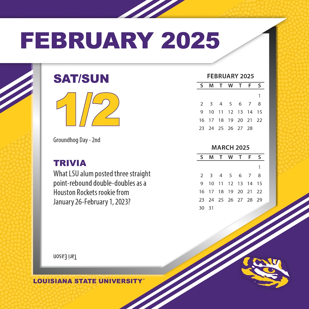 LSU Tigers 2025 NCAA Page-A-Day Box Calendar