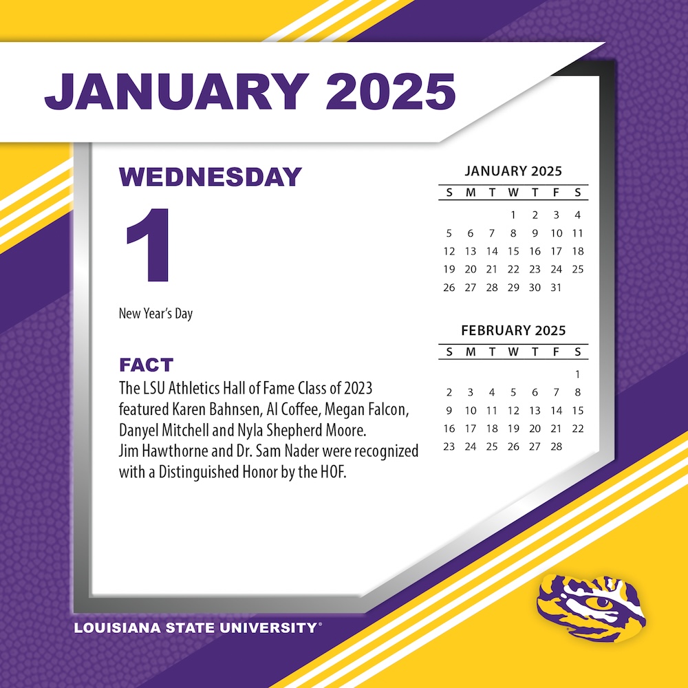 LSU Tigers 2025 NCAA Page-A-Day Box Calendar