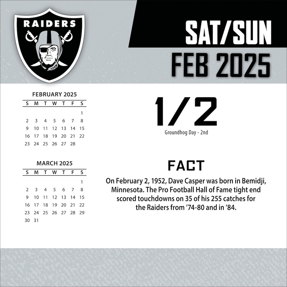 Las Vegas Raiders 2025 NFL Page-A-Day Box Calendar