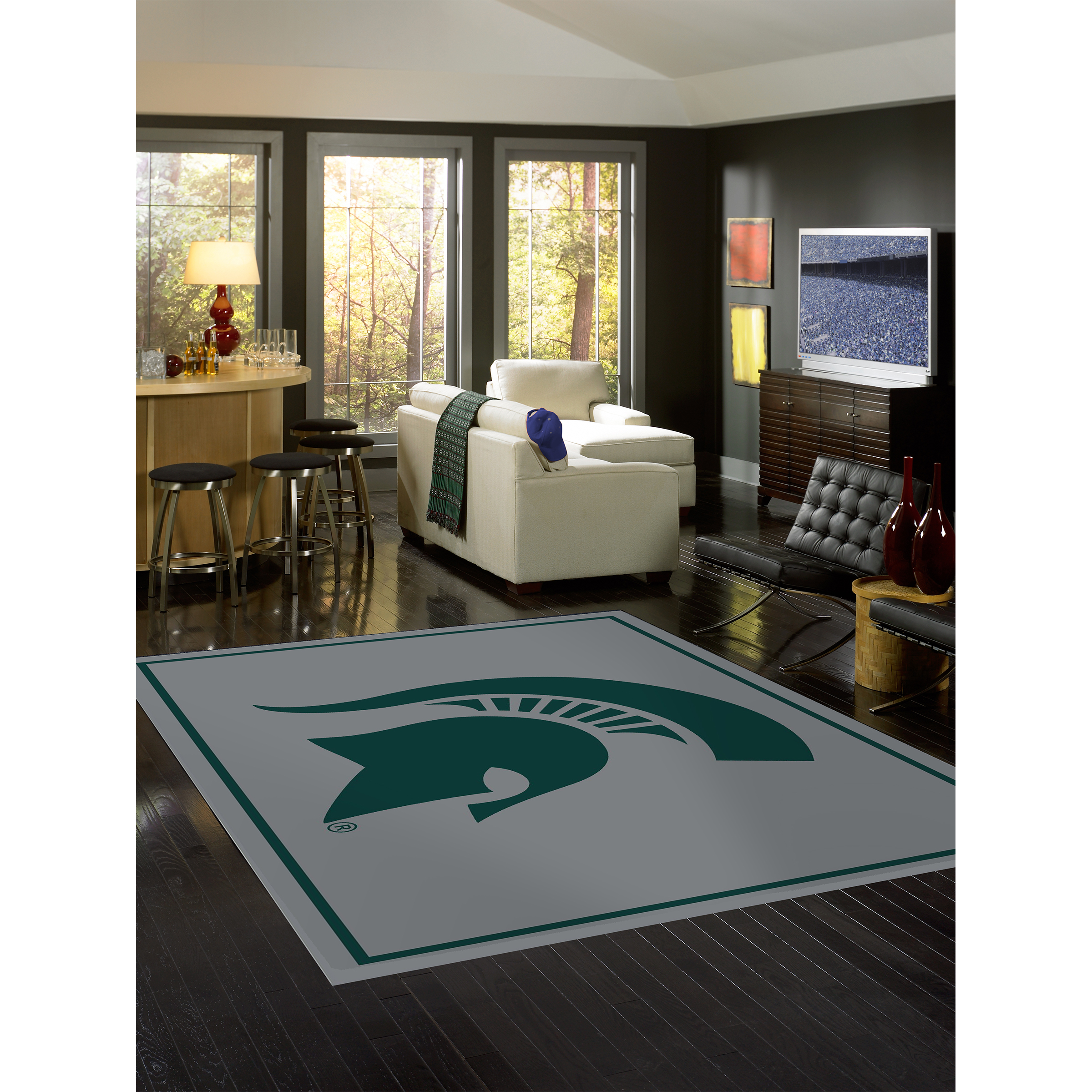 Michigan State Spartans 4 X 6 SPIRIT Rug