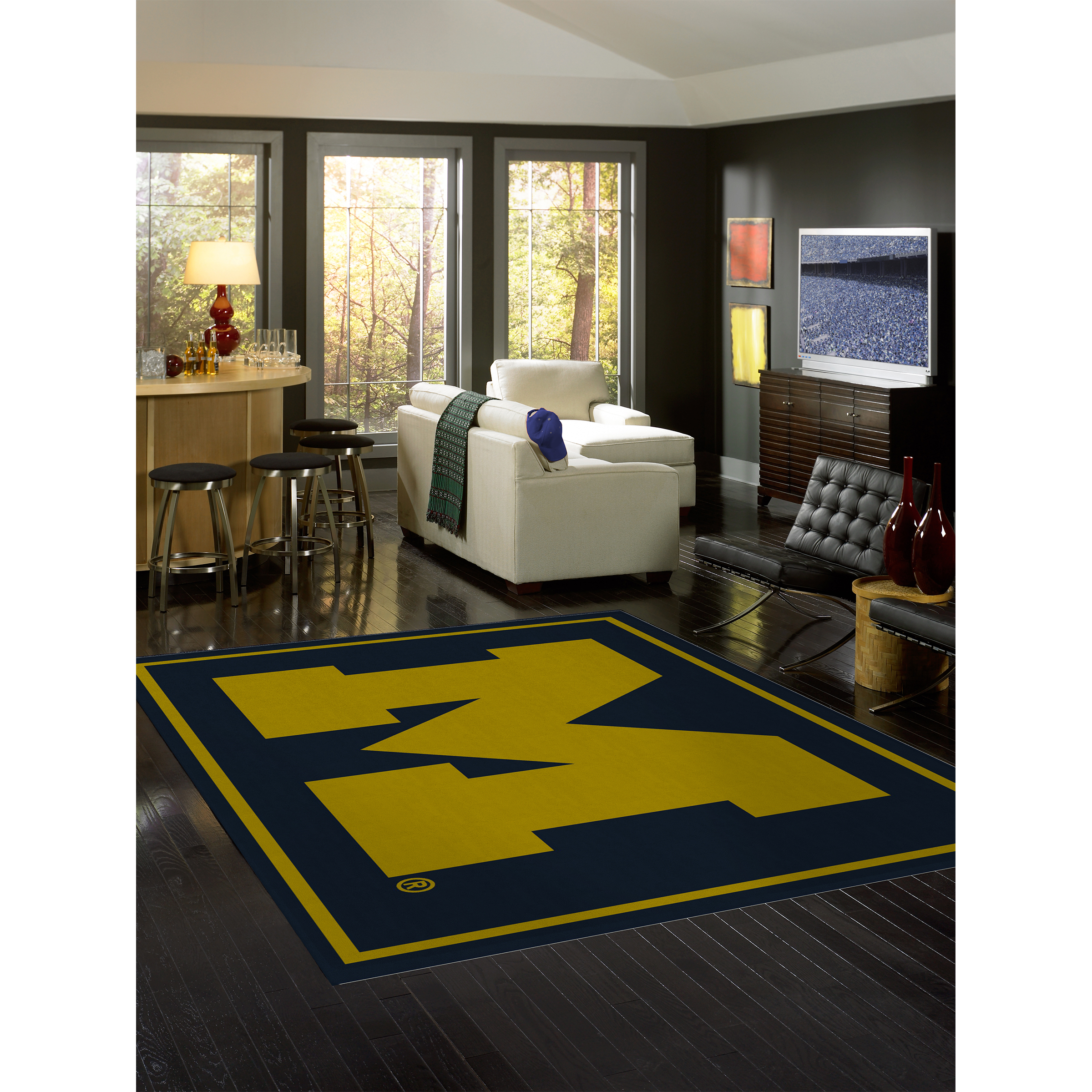 Michigan Wolverines 4 X 6 SPIRIT Rug