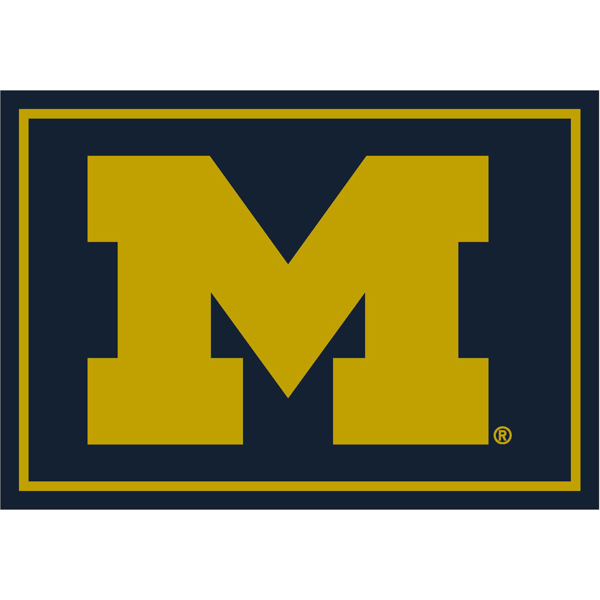 Michigan Wolverines 4 X 6 SPIRIT Rug