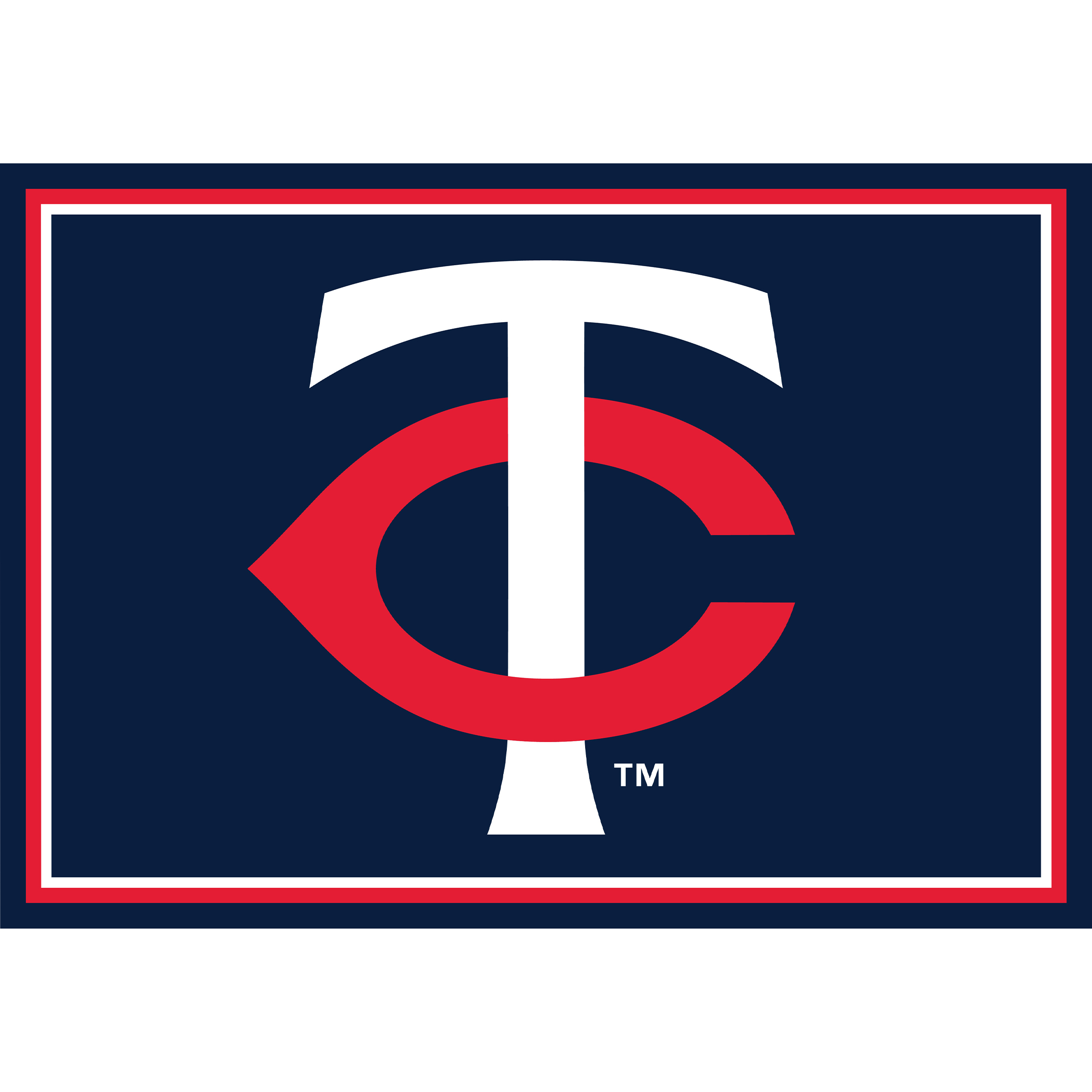 Minnesota Twins 4 X 6 SPIRIT Rug