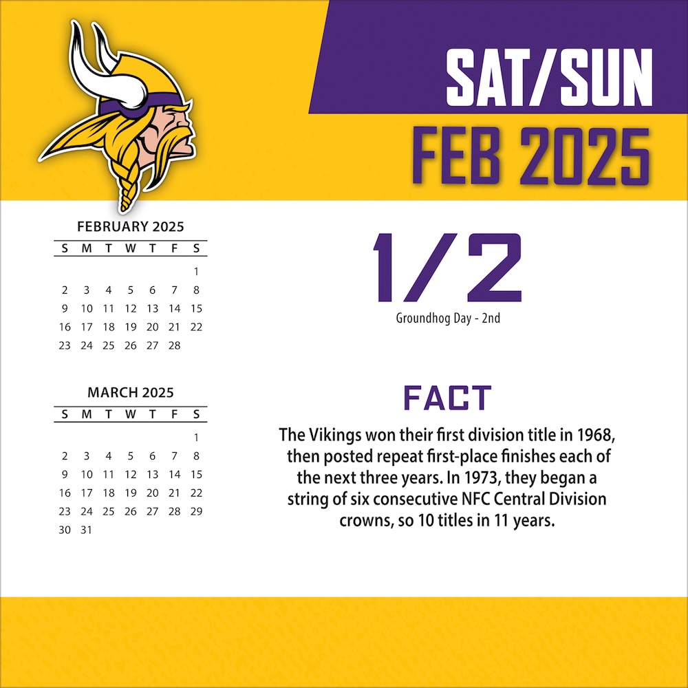 Minnesota Vikings 2025 NFL Page-A-Day Box Calendar