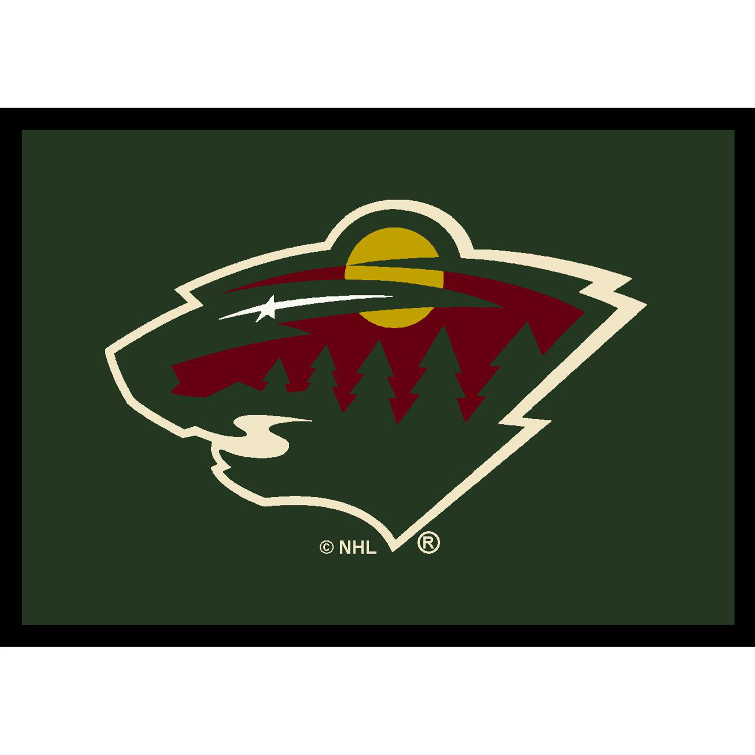 Minnesota Wild 6 X 8 SPIRIT Rug