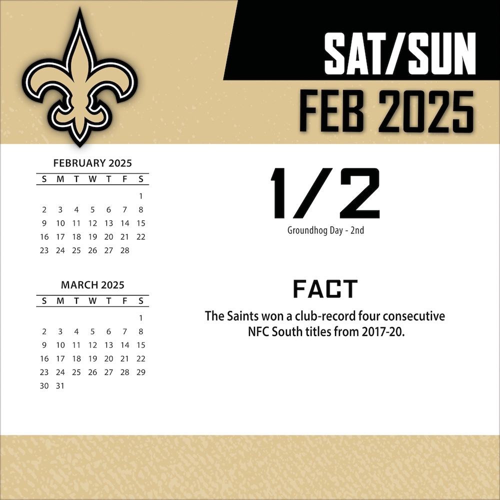 New Orleans Saints 2025 NFL Page-A-Day Box Calendar