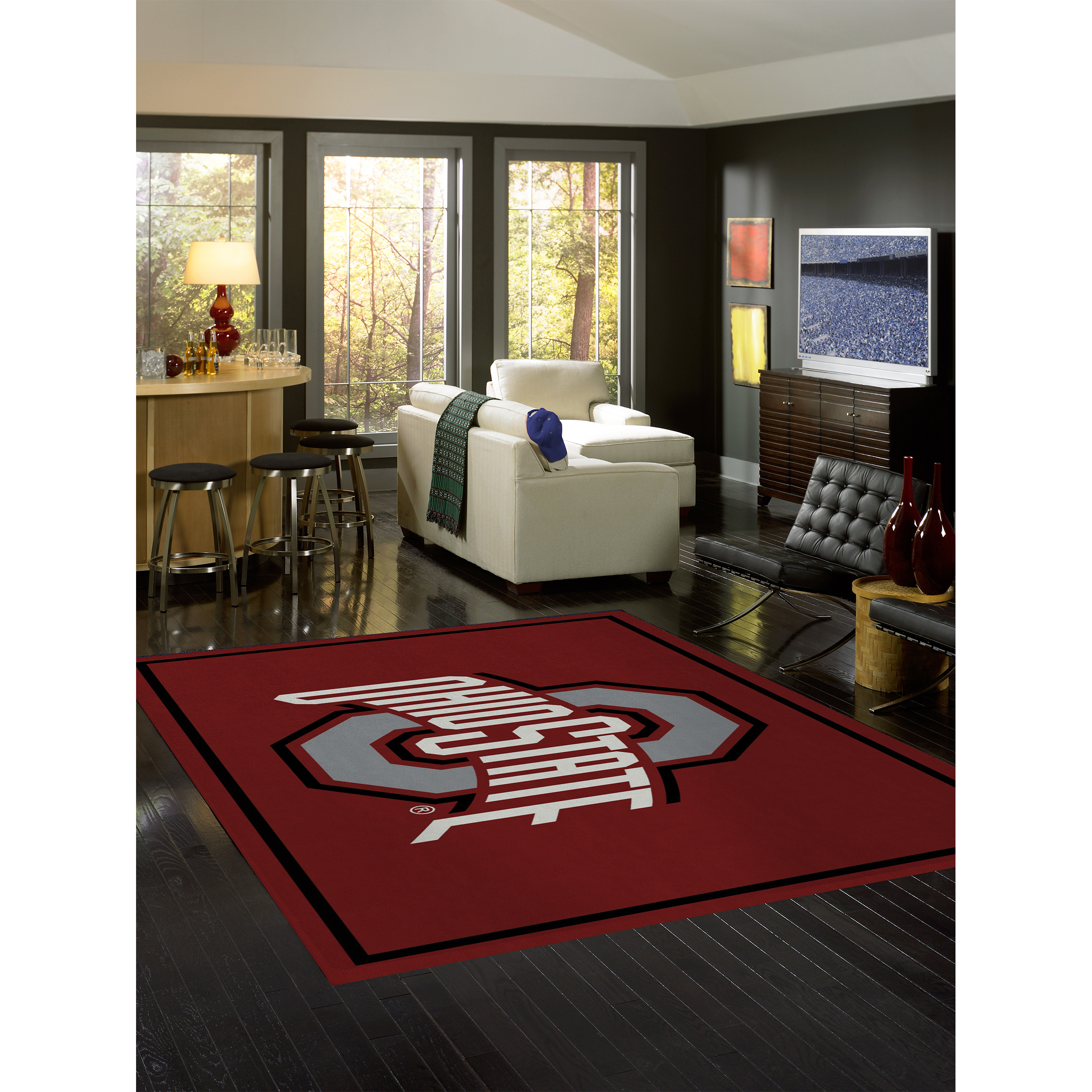 Ohio State Buckeyes 4 X 6 SPIRIT Rug