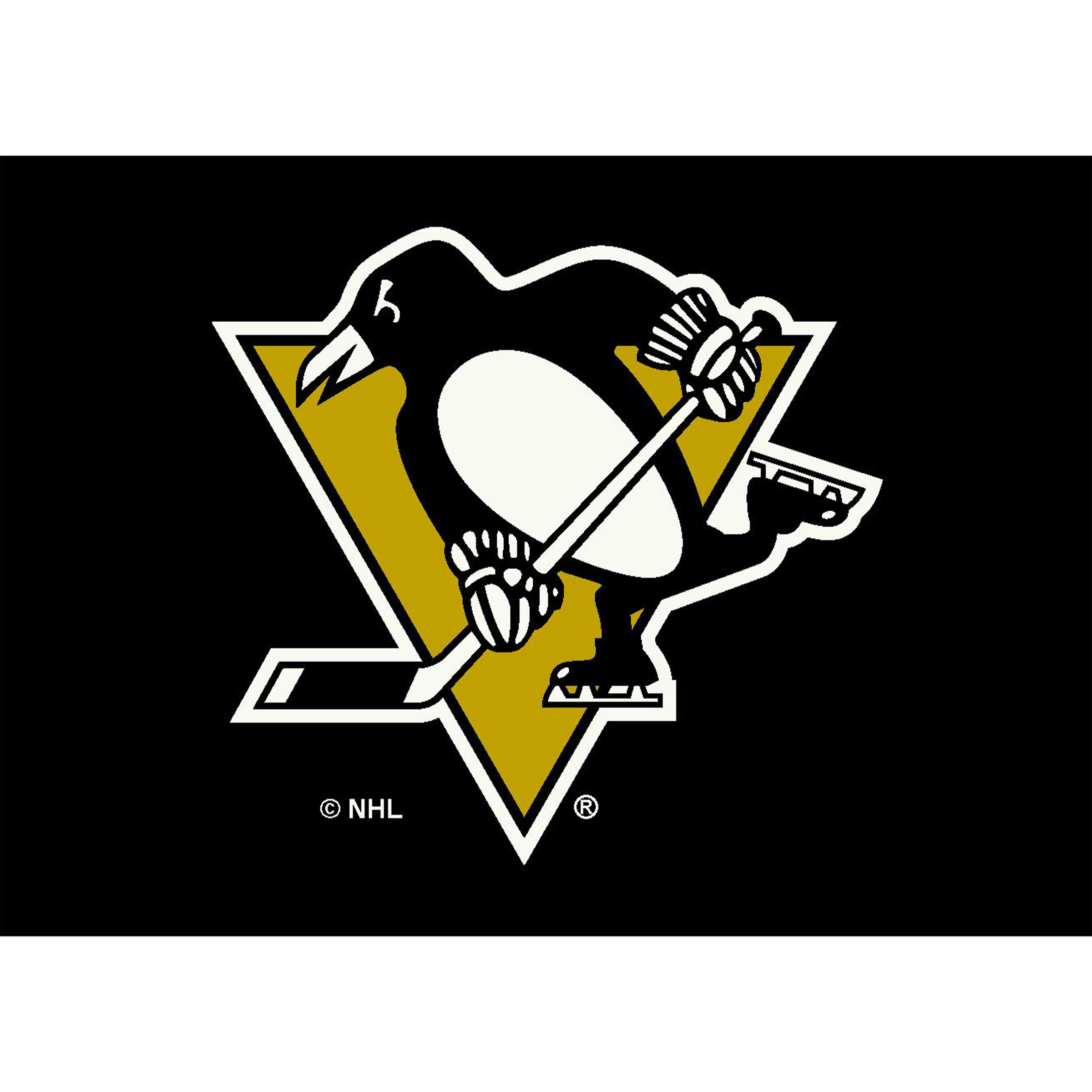 Pittsburgh Penguins 4 X 6 SPIRIT Rug