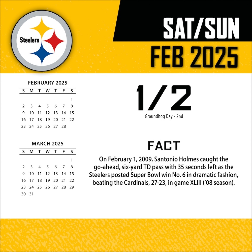 Pittsburgh Steelers 2025 NFL Page-A-Day Box Calendar