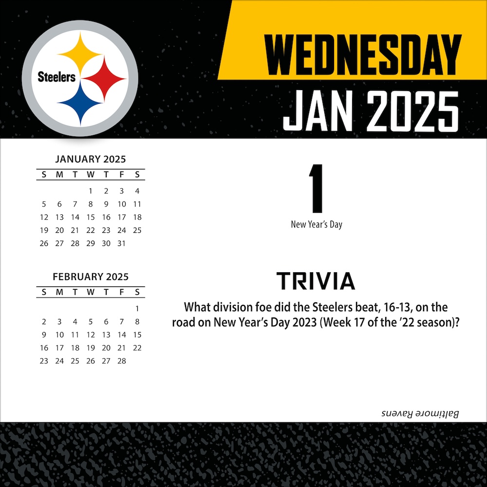 Pittsburgh Steelers 2025 NFL Page-A-Day Box Calendar