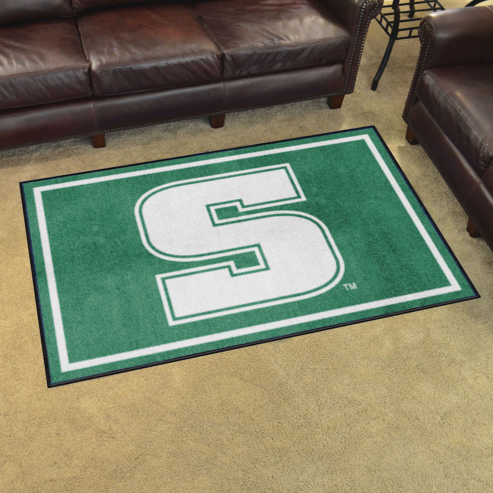 Slippery Rock The Rock 4x6 Area Rug