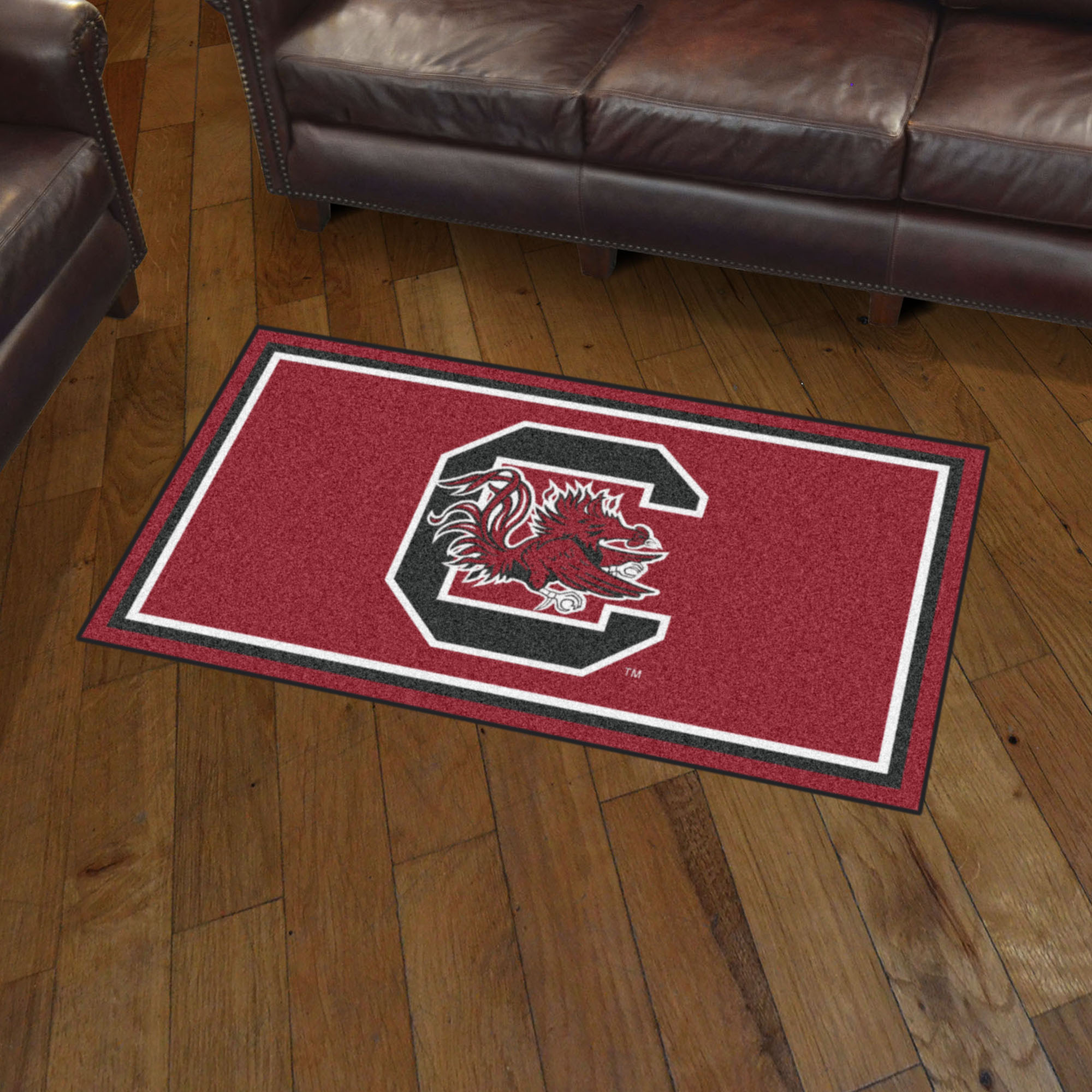 South Carolina Gamecocks 3x5 Area Rug