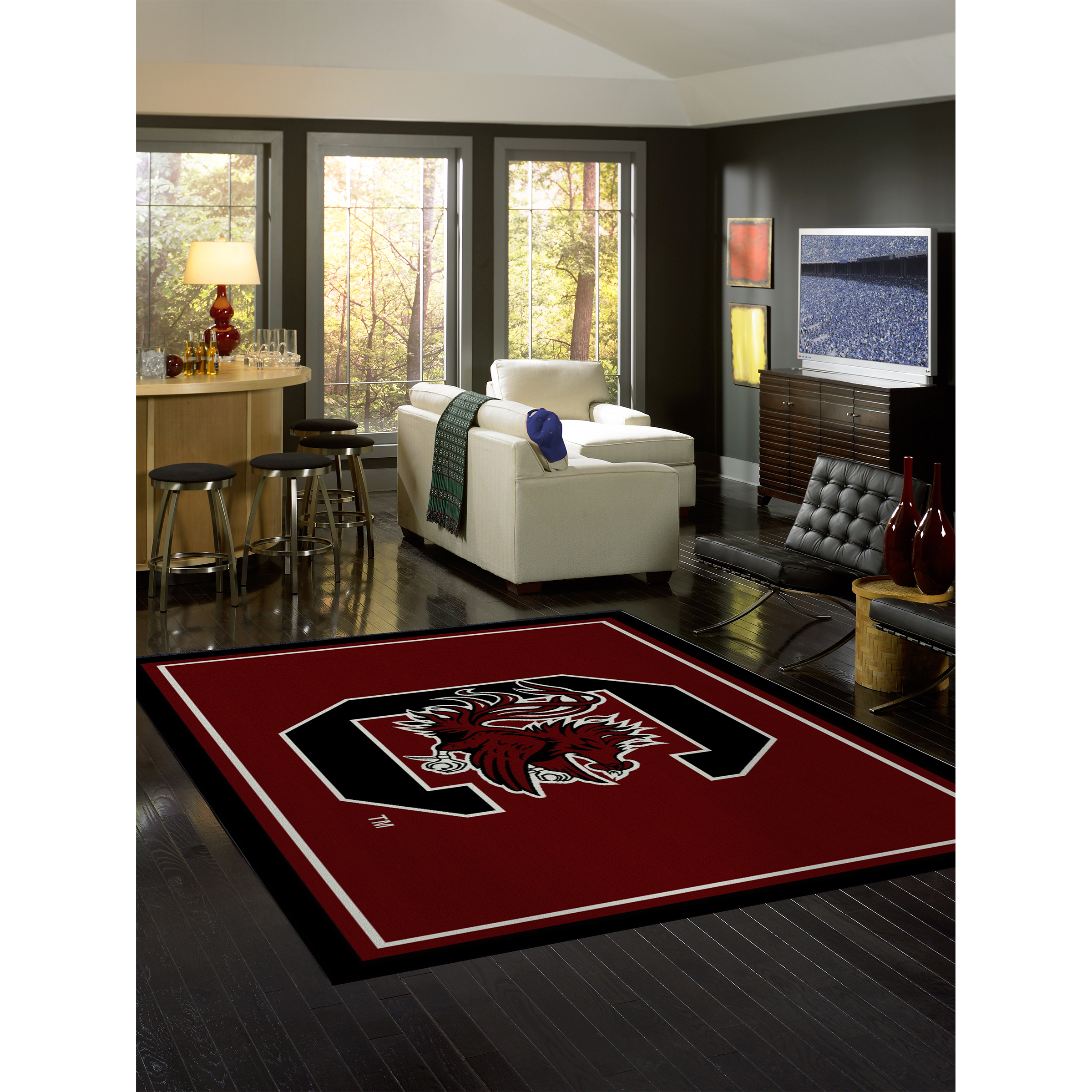 South Carolina Gamecocks 4 X 6 SPIRIT Rug