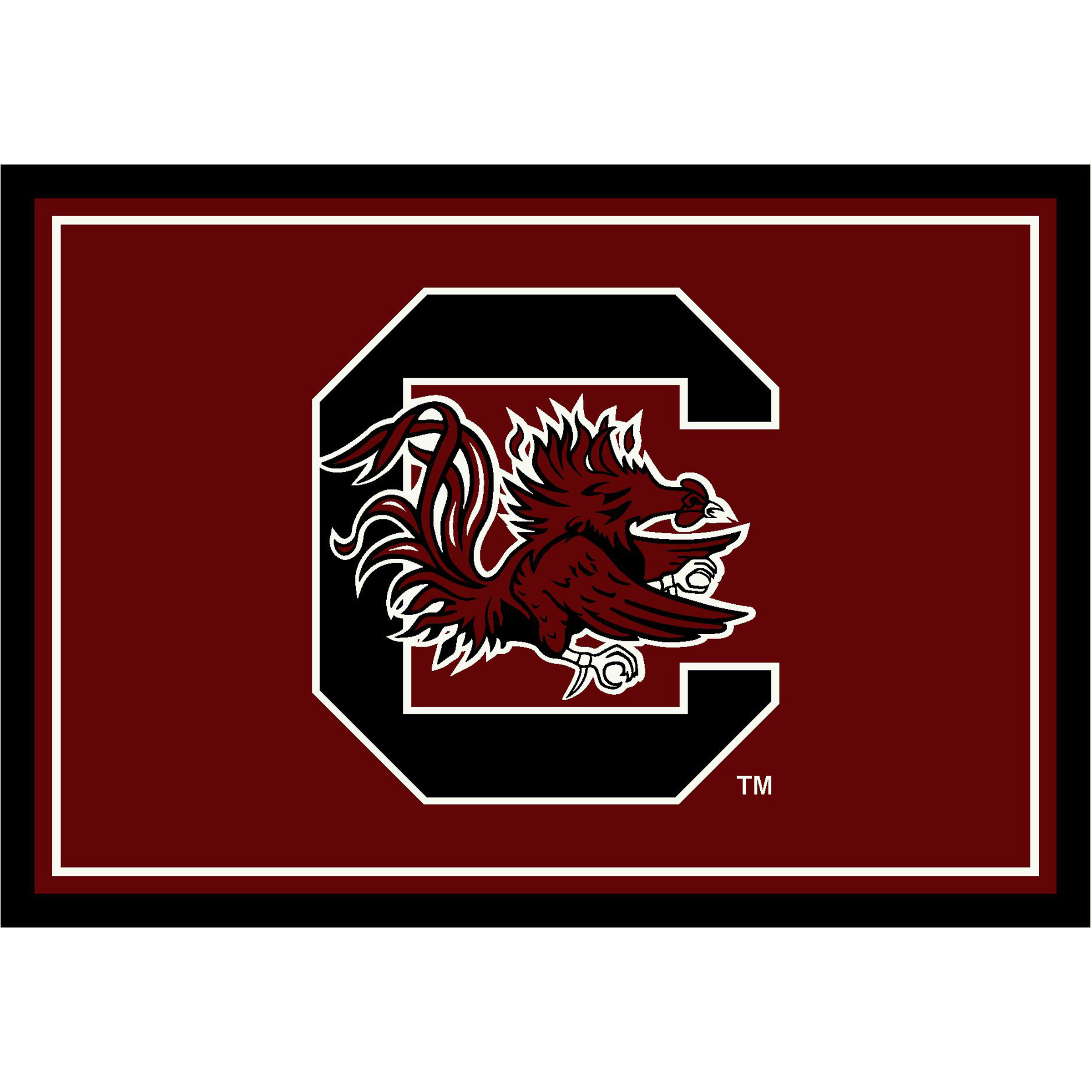 South Carolina Gamecocks 4 X 6 SPIRIT Rug