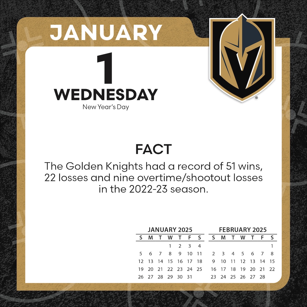 Vegas Golden Knights 2025 NHL Page-A-Day Box Calendar