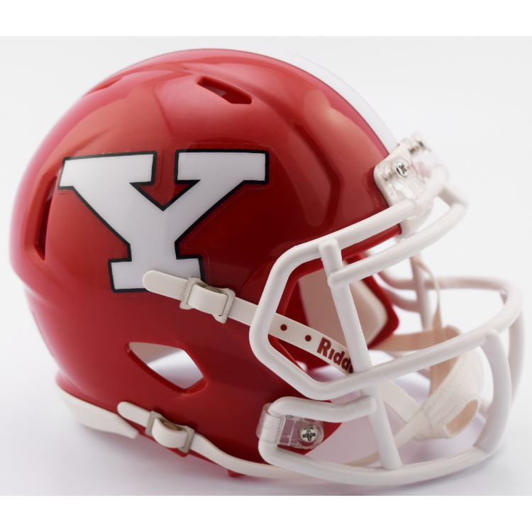 Youngstown State Penguins NCAA Mini SPEED Helmet by Riddell