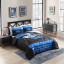 Carolina Panthers QUEEN/FULL size Comforter and 2 ...