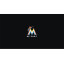 Miami Marlins Billiard Table Cloth