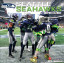 Seattle Seahawks 2025 NFL Team Wall Calendar