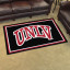 UNLV Rebels 4x6 Area Rug